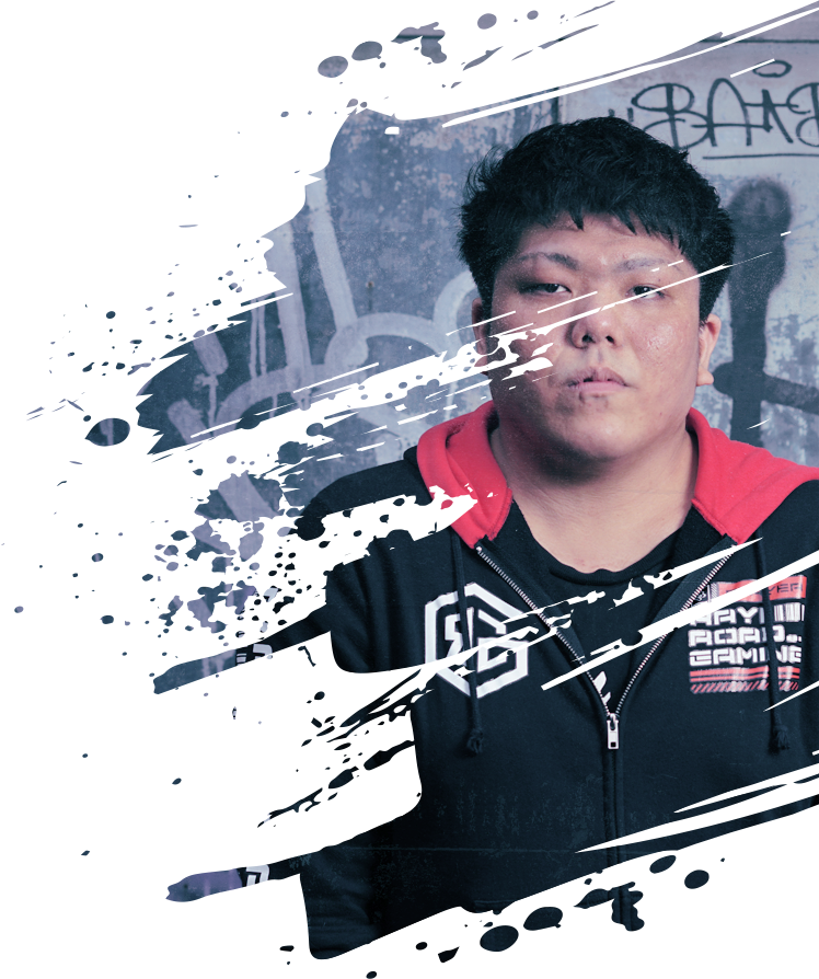 かめめ / RayRoad Gaming