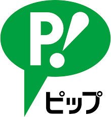 ピップエレキバン